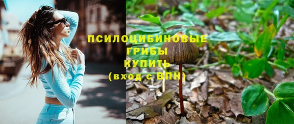 героин Алзамай