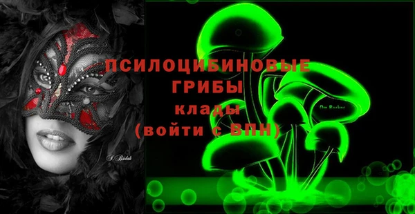 spice Алексин