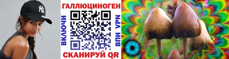 как найти   MEGA зеркало  Галлюциногенные грибы ЛСД  Козловка 