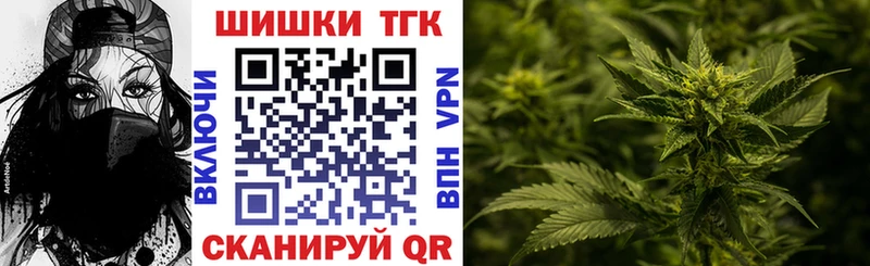 Бошки марихуана сатива  mega вход  Козловка  дарнет шоп 